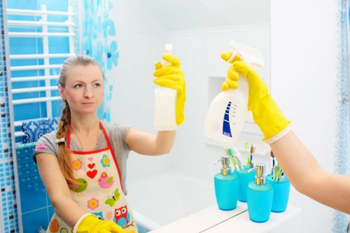 Accessible Harringay Cleaners website introduction with inclusive design focus