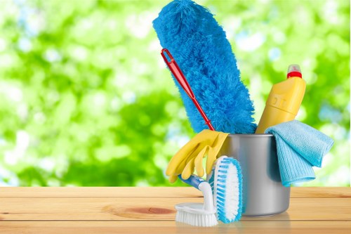 Professional move-in cleaning for a Harringay home interior