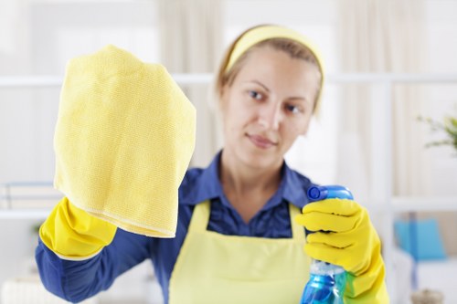 Deep cleaning soft furnishings affected by pet accidents