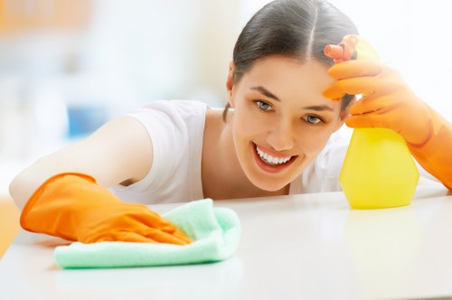 Professional oven cleaning service for a Harringay home kitchen