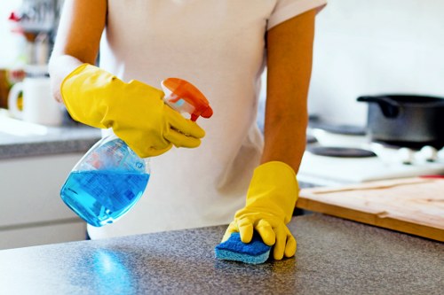 Gutter clearing service for flats and mixed-use buildings in Harringay