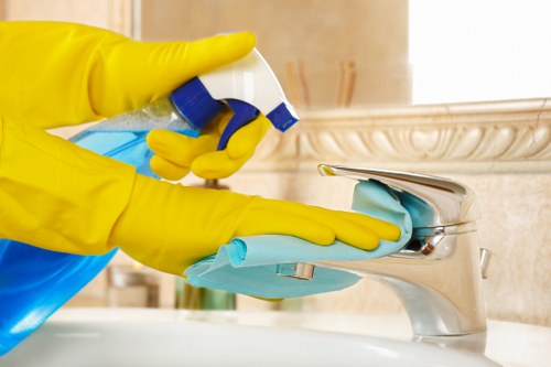 Cleaner removing baked-on grease from an oven door and racks