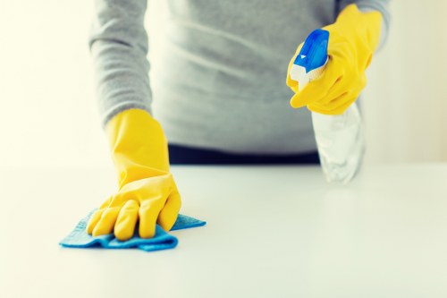 Pet stain and smell treatment for Harringay flats and rentals