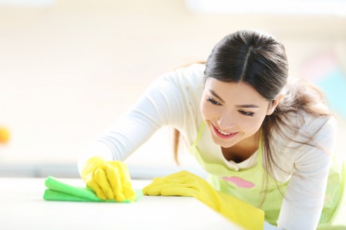 Harringay cleaning service focusing on quality and attention to detail