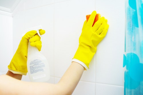 Regular cleaning service for a Harringay home interior