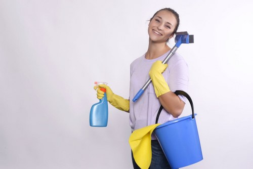 Professional stain treatment for household spills in a Harringay home