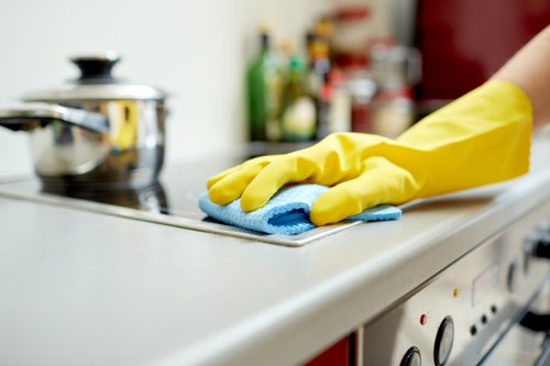 Professional window cleaning for flats in Harringay
