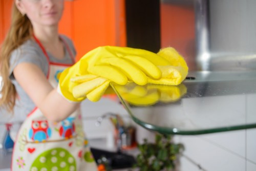 Move out cleaning team working in a residential property near Green Lanes, Harringay