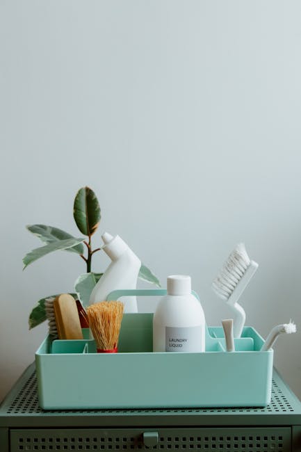A light green plastic tray containing various cleaning supplies and tools on a grey perforated surface, against a plain, light grey wall. Inside the tray are a white spray bottle labeled 'Laundry Liquid,' a wooden-handled scrubbing brush with orange bristles, a white toothbrush, a white cleaning spatula, and a white bottle with a flip-top cap. A leafy green plant with broad leaves is positioned behind the tray, adding a touch of greenery. The surface and objects appear clean and well-organized, suitable for domestic surface cleaning and maintenance, as promoted by Harringay Cleaners in their guide on end of tenancy cleaning at Harringay Green Lanes.
